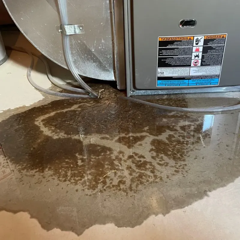 Pipe Burst and Leak Restoration in Sidney, MT
